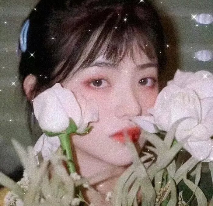 贪婪1924